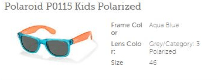 nefarious-sunglasses-polaroid