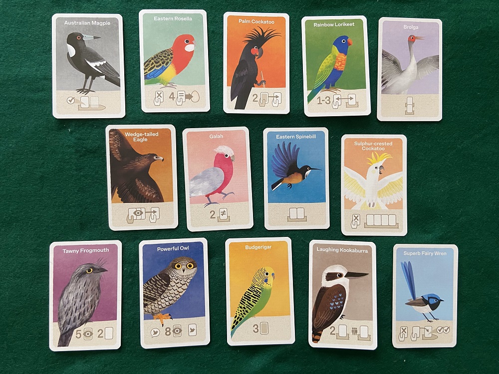 image of 14 colourful cards with images of Australian native birds on them for the tabletop game Busy Beaks