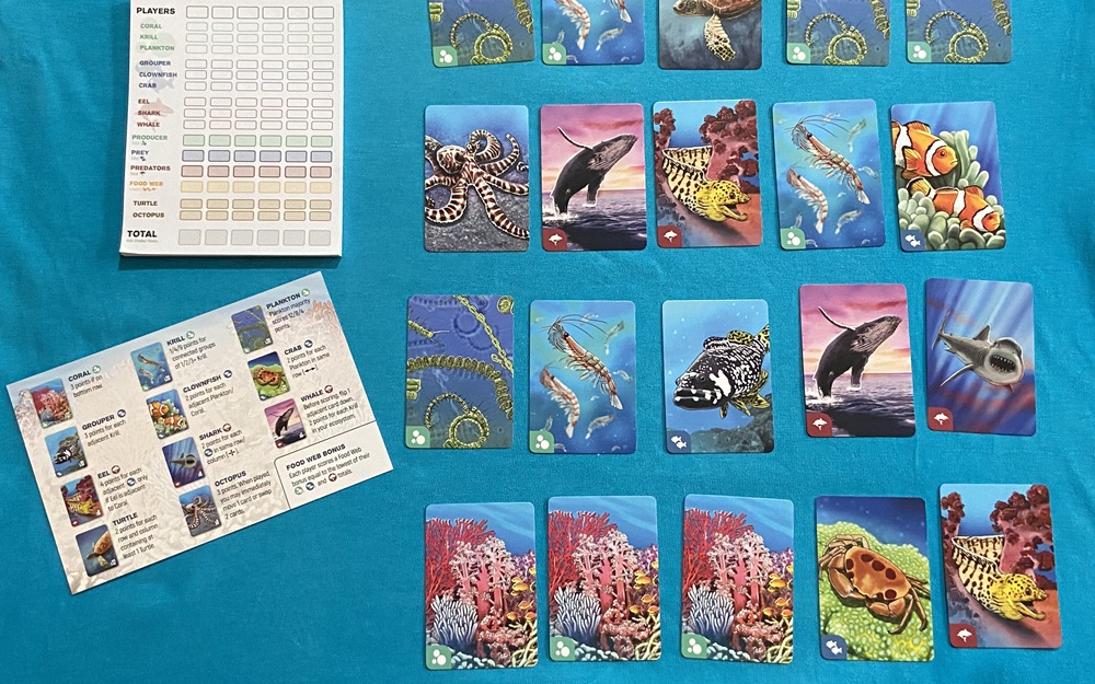 image of 20 card layout from card game ecosystem coral reef