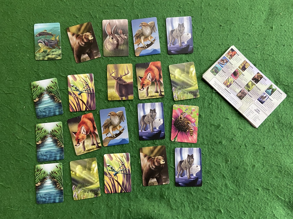 image of 20 card layout of ecosystem card game