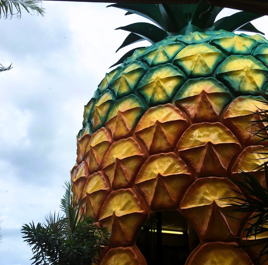 Image of the Big Pineapple, a tourist site near Buderim in Queensland